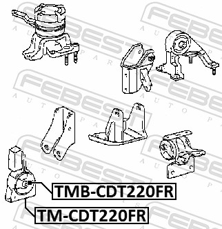 Engine Mounting - TMB-CDT220FR FEBEST