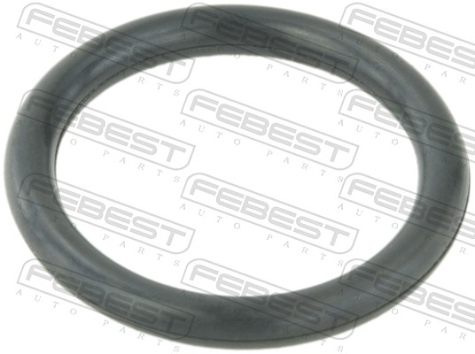 Guarnizione, Flangia refrigerante - TT-TRAFII FEBEST