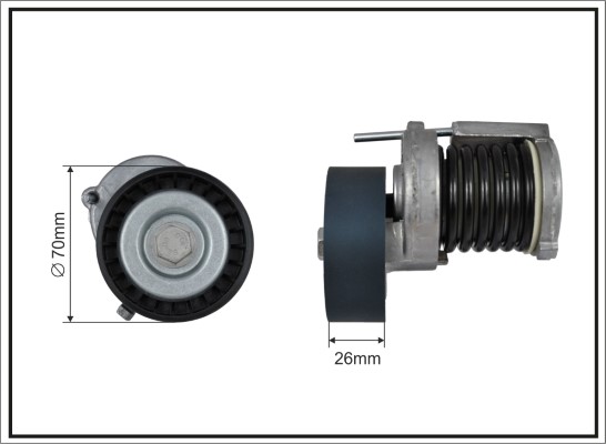 Tensioner Lever, V-ribbed belt - 100100SP CAFFARO