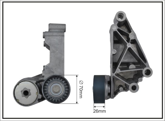 Tensioner Lever, V-ribbed belt - 100188SP CAFFARO