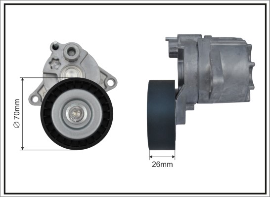 Tensioner Lever, V-ribbed belt - 101100SP CAFFARO