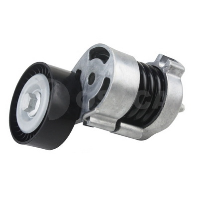 Tendicinghia, Cinghia Poly-V - 20702 OSSCA