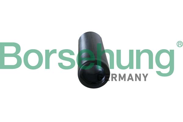 Protective Cap/Bellow, shock absorber - B10151 Borsehung