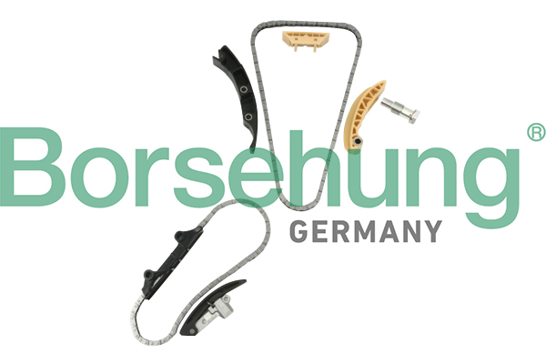 Timing Chain Kit - B10207 Borsehung