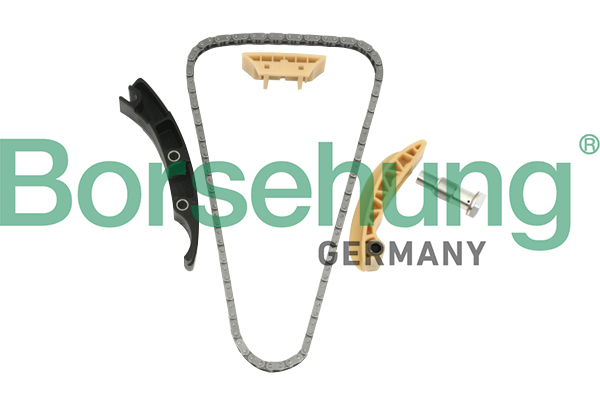 Timing Chain Kit - B10208 Borsehung