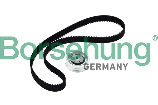 Timing Belt Set - B10219 Borsehung