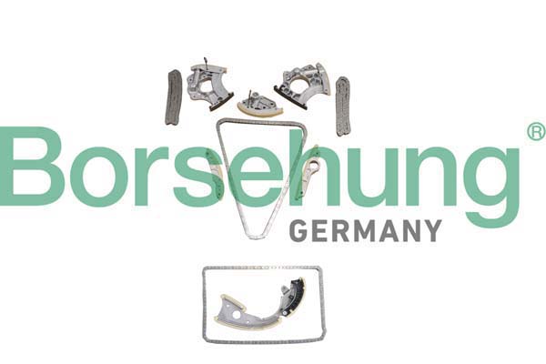 Timing Chain Kit - B10242 Borsehung