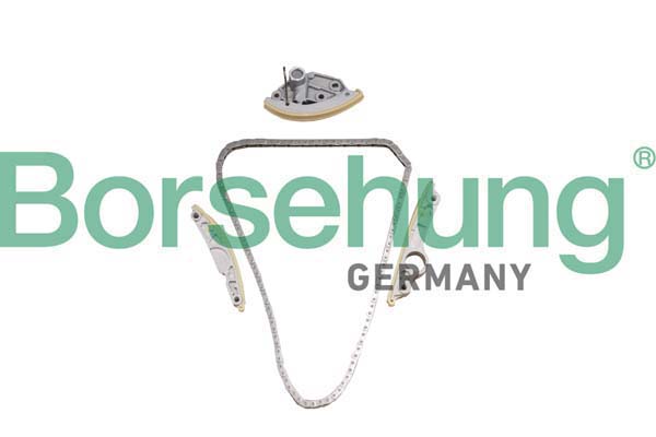 Timing Chain Kit - B10246 Borsehung
