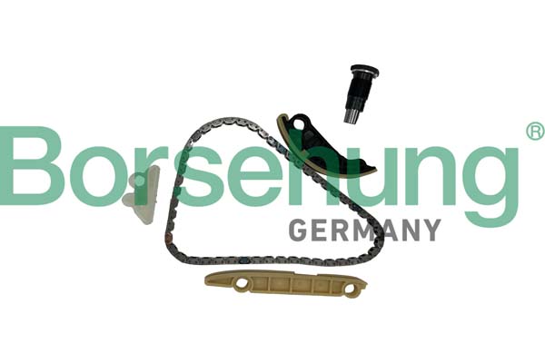 Timing Chain Kit - B10254 Borsehung