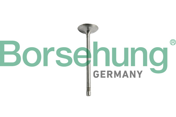 Kolbenringsatz - B10344 Borsehung