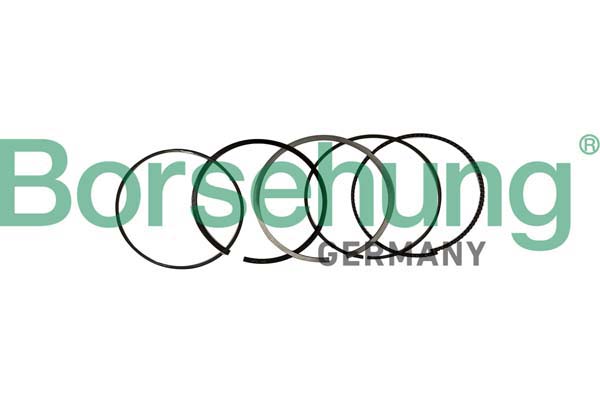 Комплект поршневых колец - B10369 Borsehung
