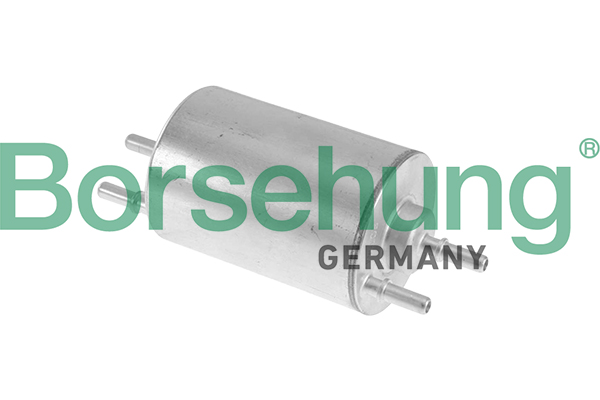 Filtro carburante - B10479 Borsehung