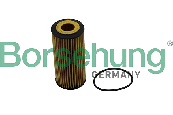 Filtro olio - B10511 Borsehung