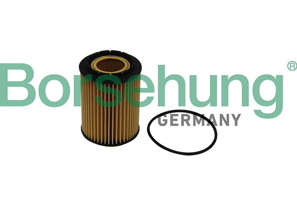 Filtro olio - B10516 Borsehung