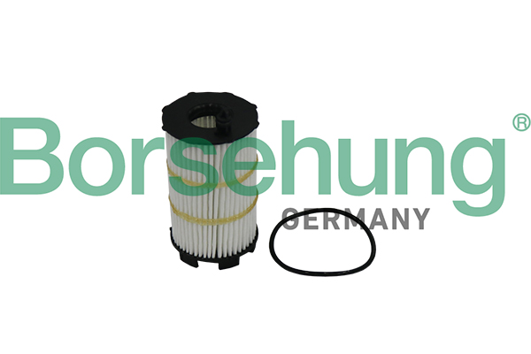 Filtro olio - B10517 Borsehung