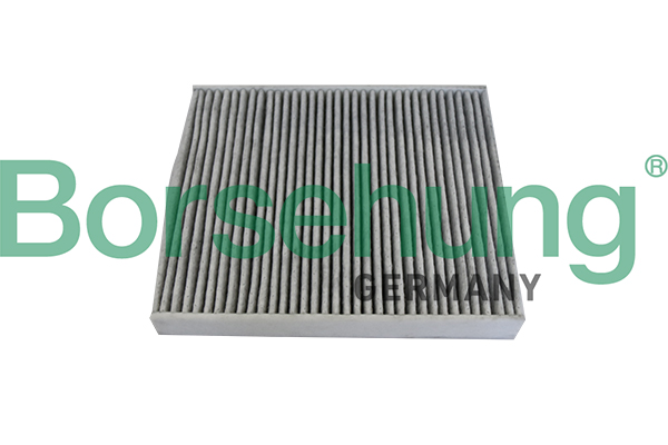 Filter, interior air - B10534 Borsehung