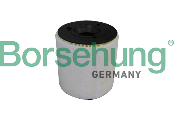 Filtro aria - B10539 Borsehung