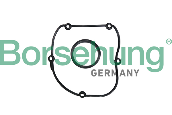 Gasket, timing case cover - B10627 Borsehung