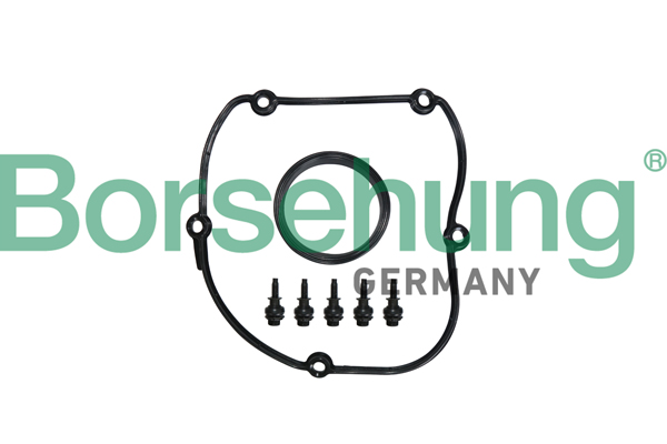 Gasket, timing case cover - B10629 Borsehung