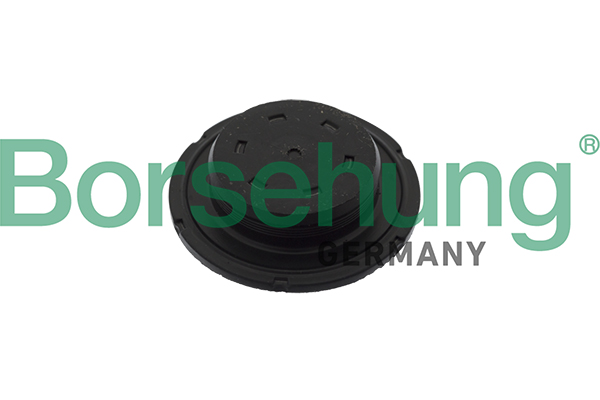 Repair Sleeve, timing case cover - B10644 Borsehung