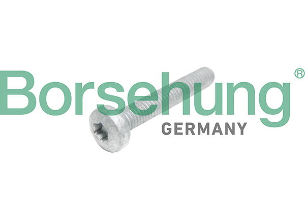 Cylinder Head Bolt - B10645 Borsehung