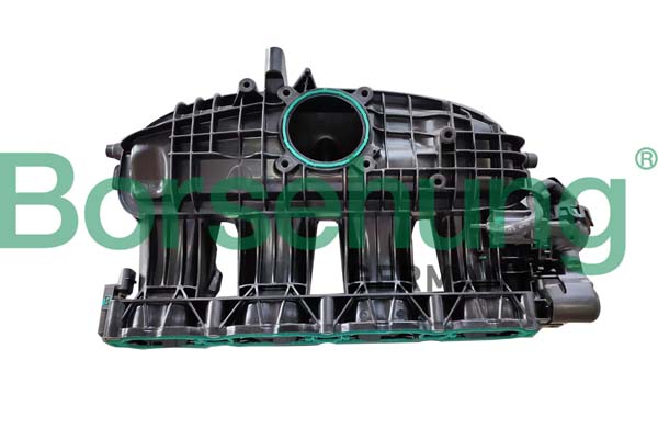 Intake Manifold, air supply - B10665 Borsehung