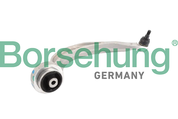 Track Control Arm - B10844 Borsehung