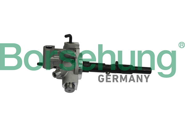Pomello leva cambio - B10906 Borsehung