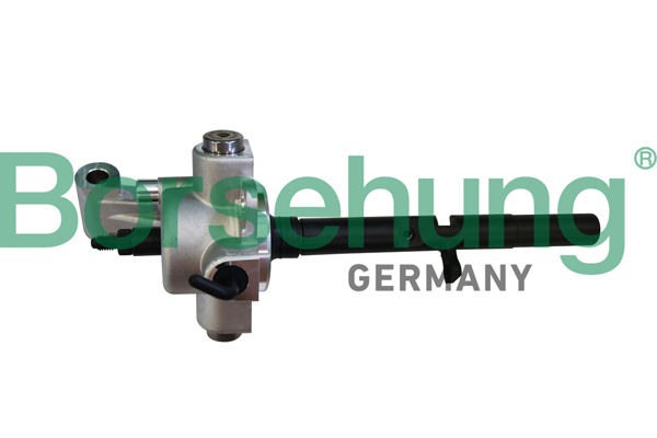 Pomello leva cambio - B10914 Borsehung