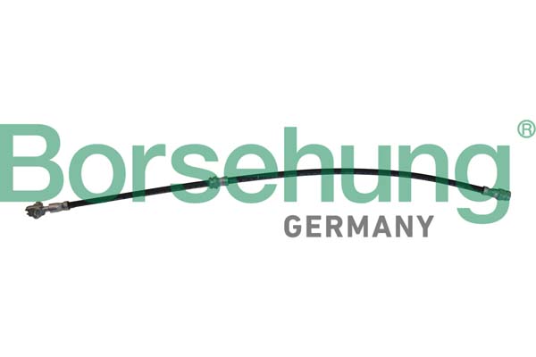Brake Hose - B10952 Borsehung