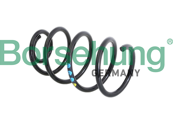 Coil Spring - B11089 Borsehung