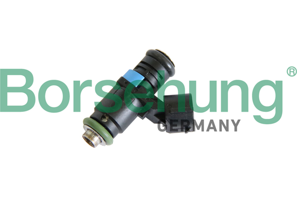 Injector - B11159 Borsehung