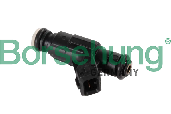Injector - B11164 Borsehung