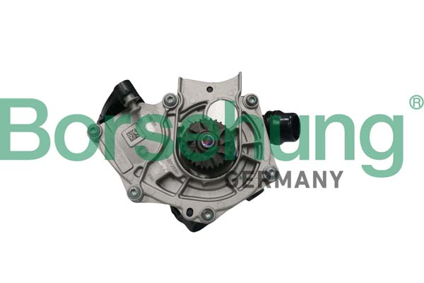Water Pump - B11209 Borsehung