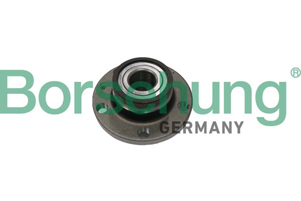 Radlagersatz - B11289 Borsehung