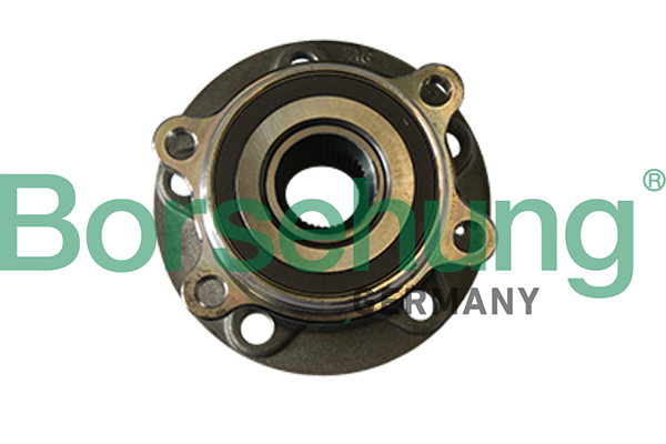 Radlagersatz - B11290 Borsehung