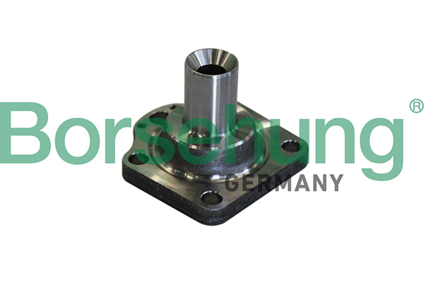Radnabe - B11291 Borsehung