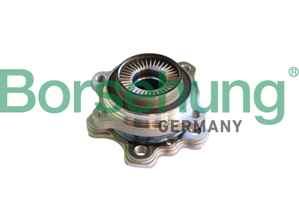 Radlagersatz - B11293 Borsehung