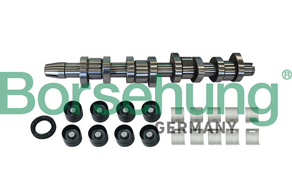 Camshaft Kit - B11307 Borsehung