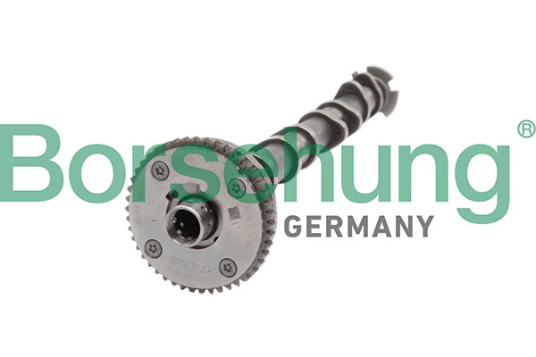 Albero a camme - B11319 Borsehung