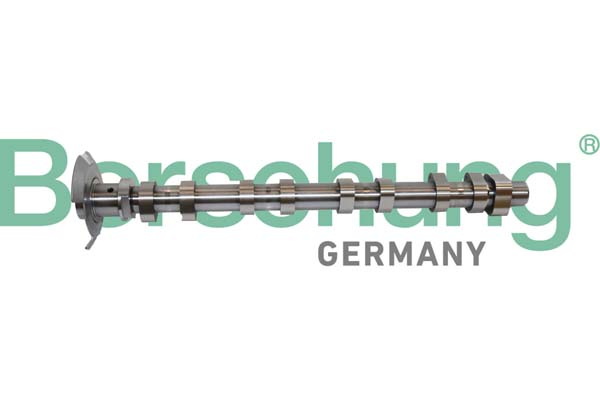 Albero a camme - B11320 Borsehung