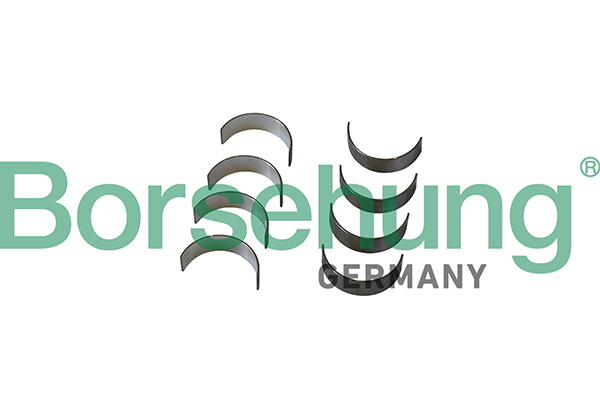 Bronzina di biella - B11332 Borsehung