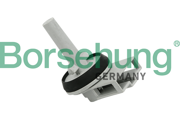 Sensore, Temperatura abitacolo - B11447 Borsehung