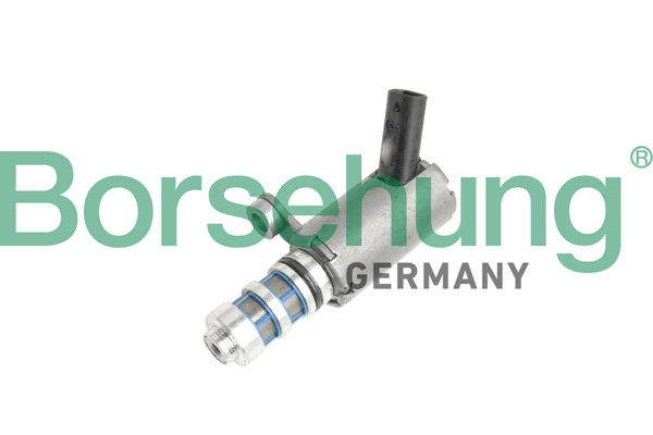 Central Valve, camshaft adjustment - B11858 Borsehung