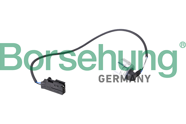 Oil pressure sensor, automated manual transmission (AMT) - B11873 Borsehung