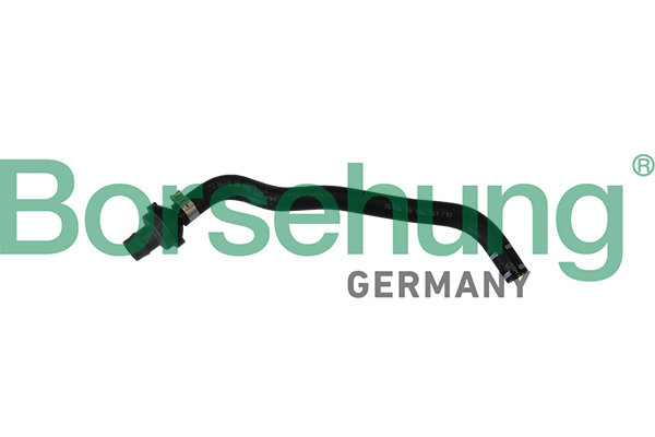 Hose, crankcase breather - B11970 Borsehung