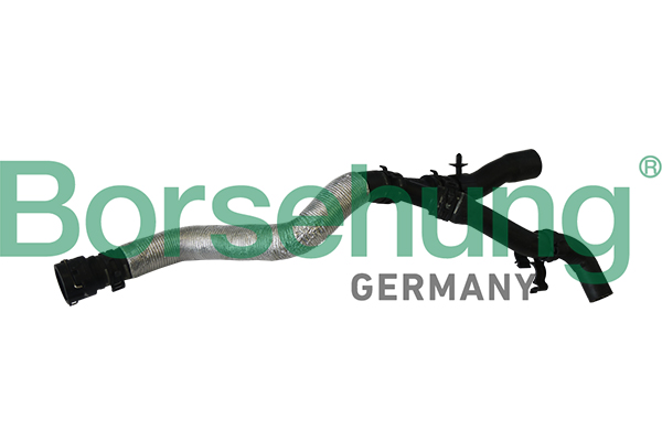 Radiator Hose - B11979 Borsehung