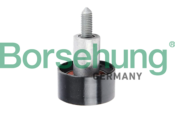 Deflection/Guide Pulley, timing belt - B12078 Borsehung