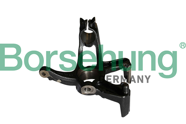 Steering Knuckle, wheel suspension - B12113 Borsehung