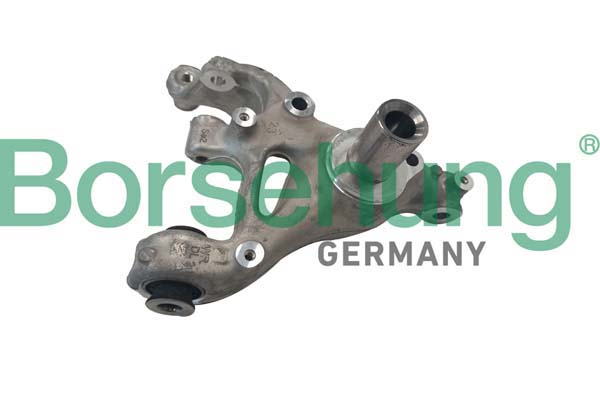 Steering Knuckle, wheel suspension - B12117 Borsehung